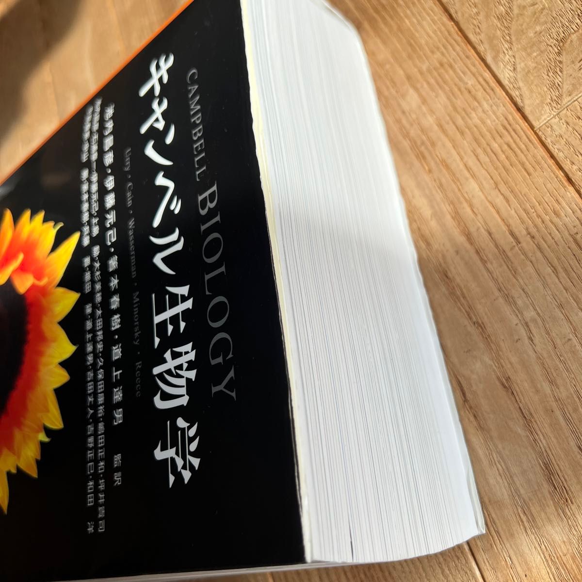 キャンベル生物学 原書11版 / 池内 昌彦 他監訳|理学、工学 キャンベル生物学 原書11版 / 池内 昌彦 他監訳|理学、工学
