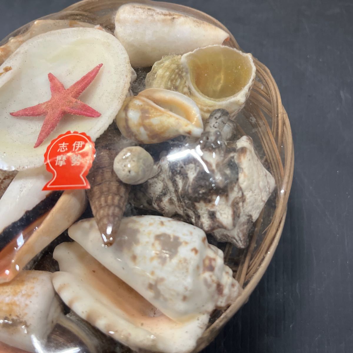 かご入り お土産 貝殻 伊勢志摩 巻貝 色々 インテリアの画像5