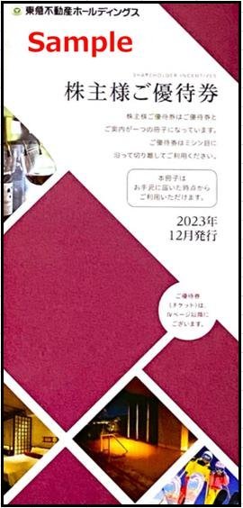 ◆08-01◆【新 17枚綴り/1000株】東急不動産 株主優待冊子 1冊-B◆_画像1