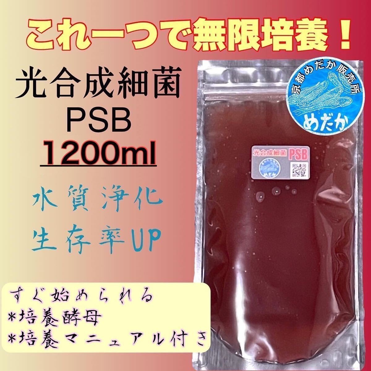 ★無限培養★光合成細菌PSB 1200ml 水質浄化 生存率UP メダカ めだか 卵 金魚 らんちゅう 熱帯魚 稚魚 針子 ミジンコ ゾウリムシの画像1