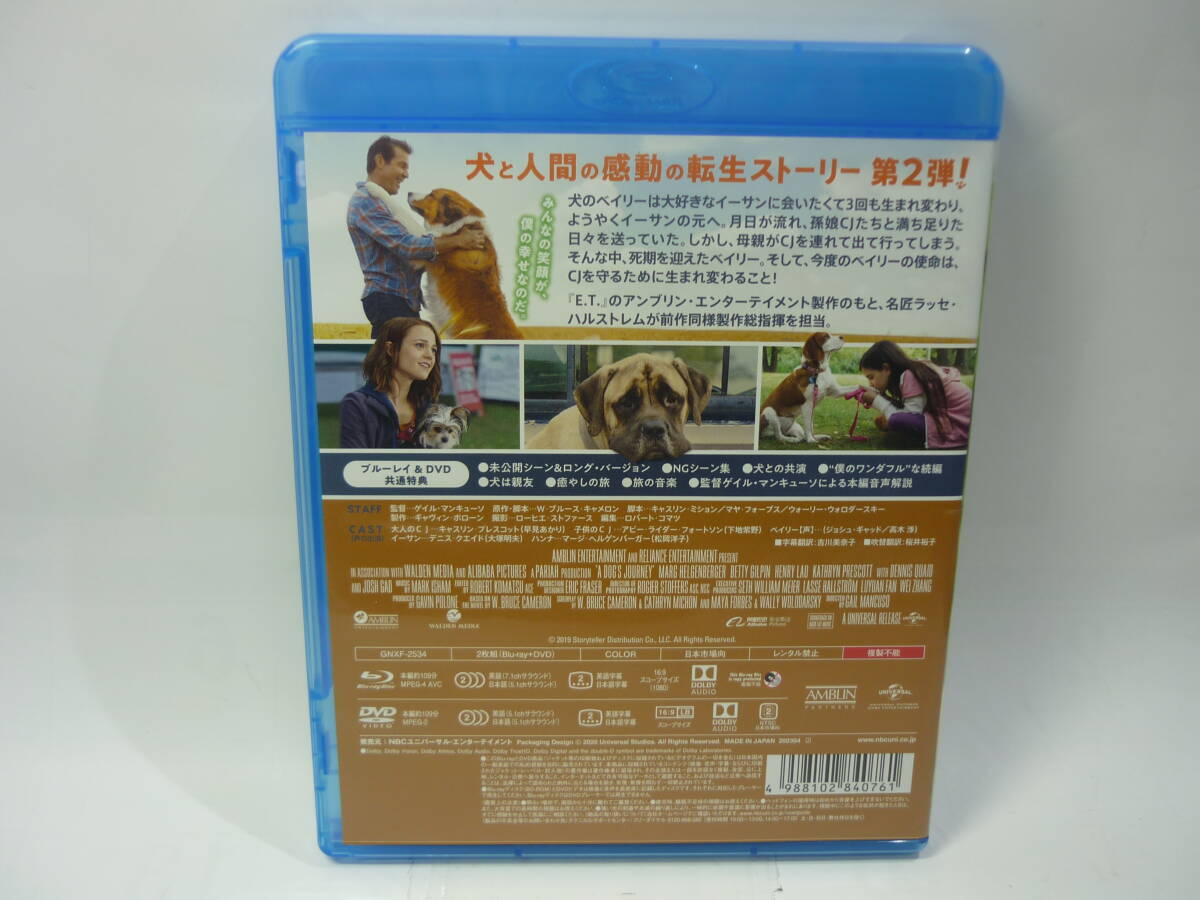 【中古DVD＆BD】僕のワンダフル・ジャーニー　　出演：キャスリン・ブレスコット（トールケースあり/230円発送）_画像2