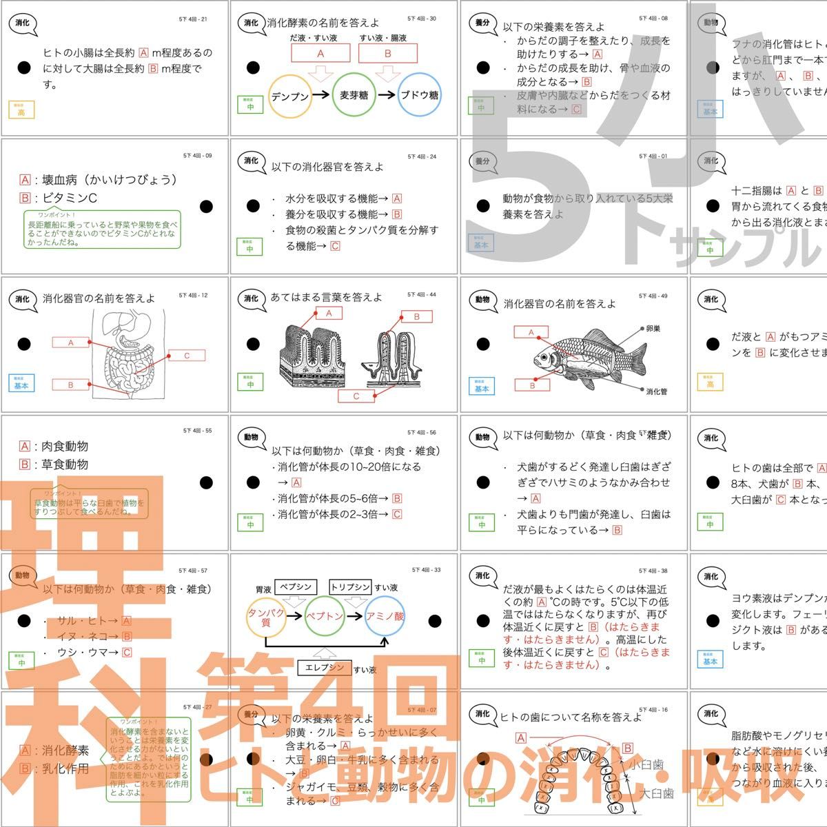 中学受験【5年下 理科全セット 1-18回】 暗記カード 予シリ 組分けテスト