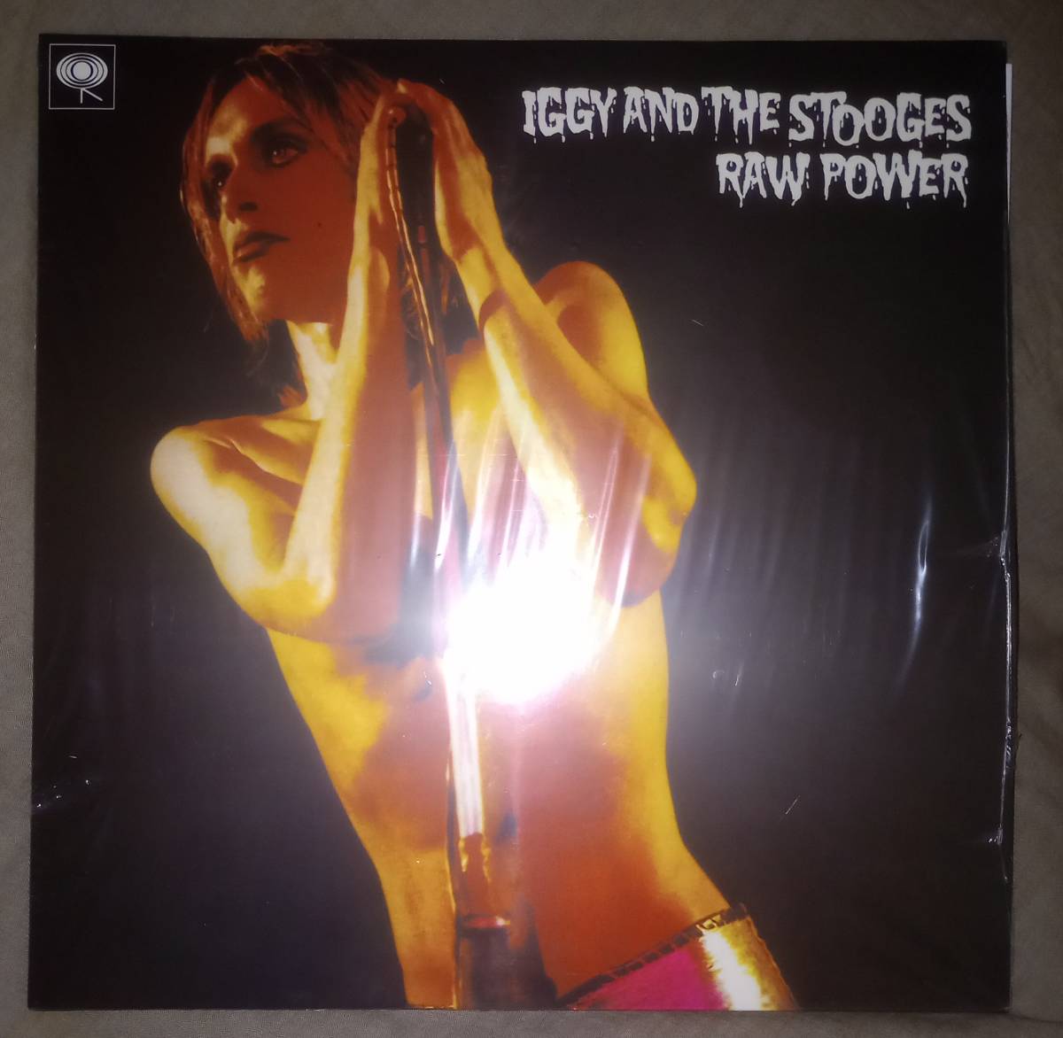 iggy pop raw power 2LP イギー・ポップ　レコード_画像1