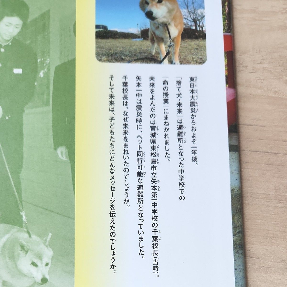 捨て犬・未来命のメッセージ　東日本大震災・犬たちが避難した学校 ノンフィクション・生きるチカラ　 今西乃子／著　浜田一男／写真