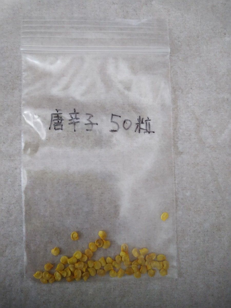 唐辛子 種 無農薬