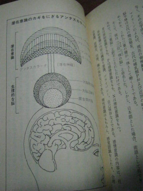 希少■　心霊界は実在する―超常現象の科学　■実例で証明_画像9