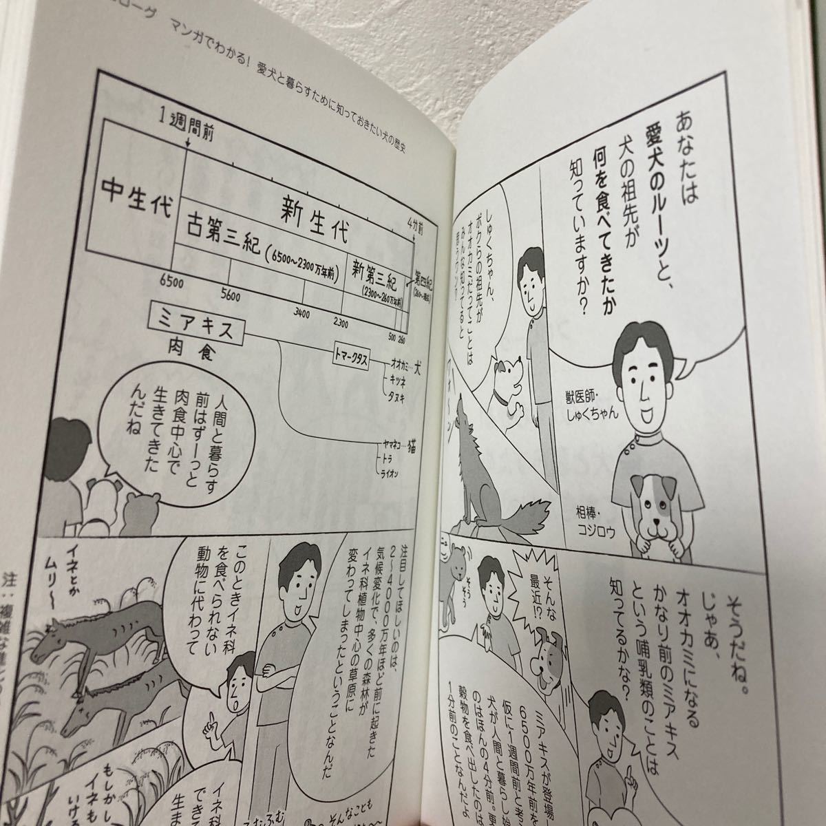 薬いらずで愛犬の病気は治る　間違いだらけのワンちゃんの健康常識 宿南章／著