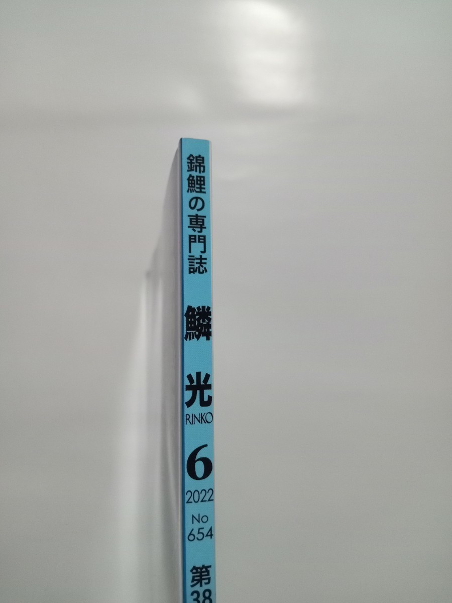 鱗光　2022年6月号　NO654　新日本教育図書_画像3