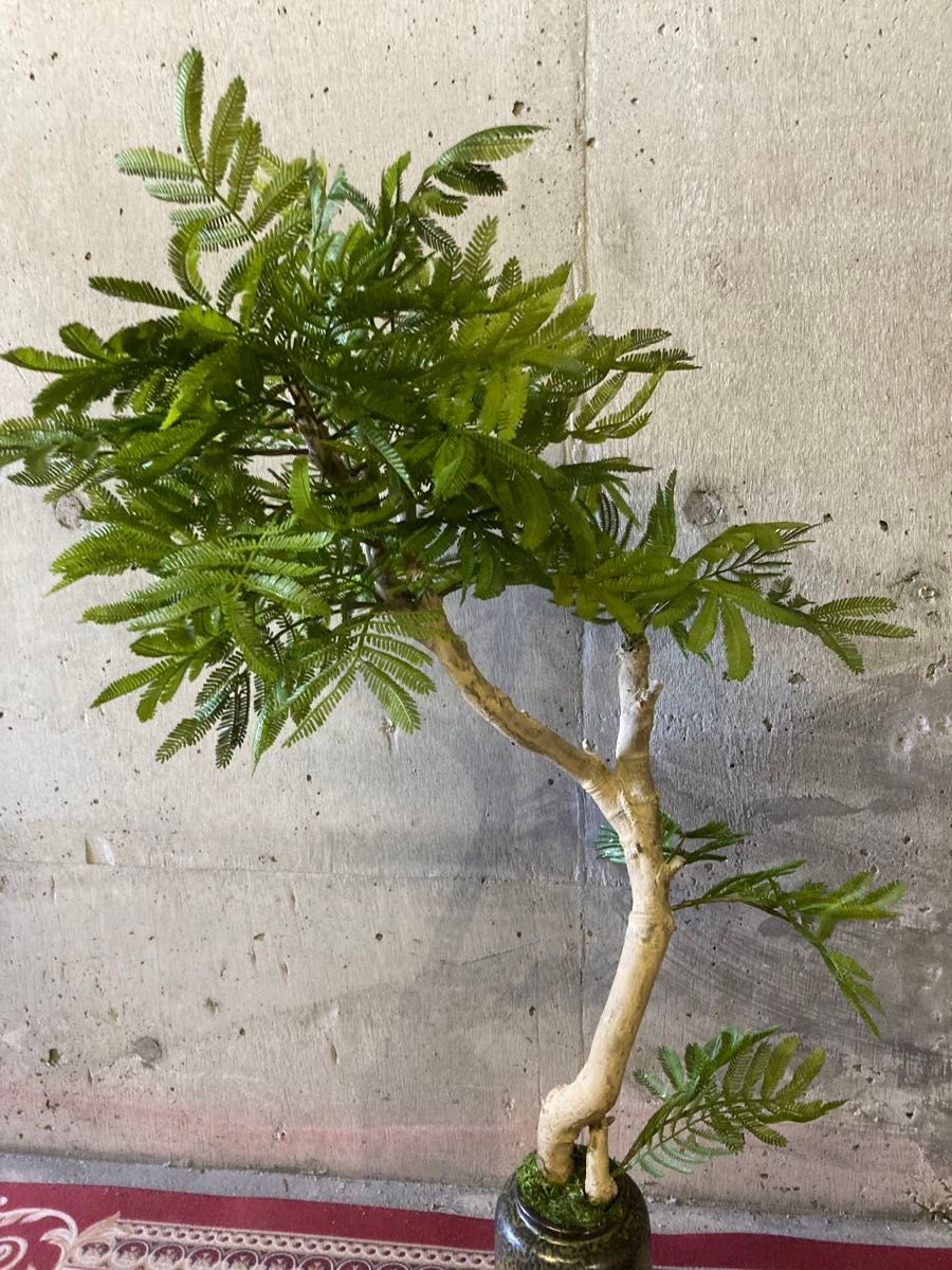 光触媒　人工観葉植物　ウォールグリーン　フェイクグリーン　エバーフレッシュ103