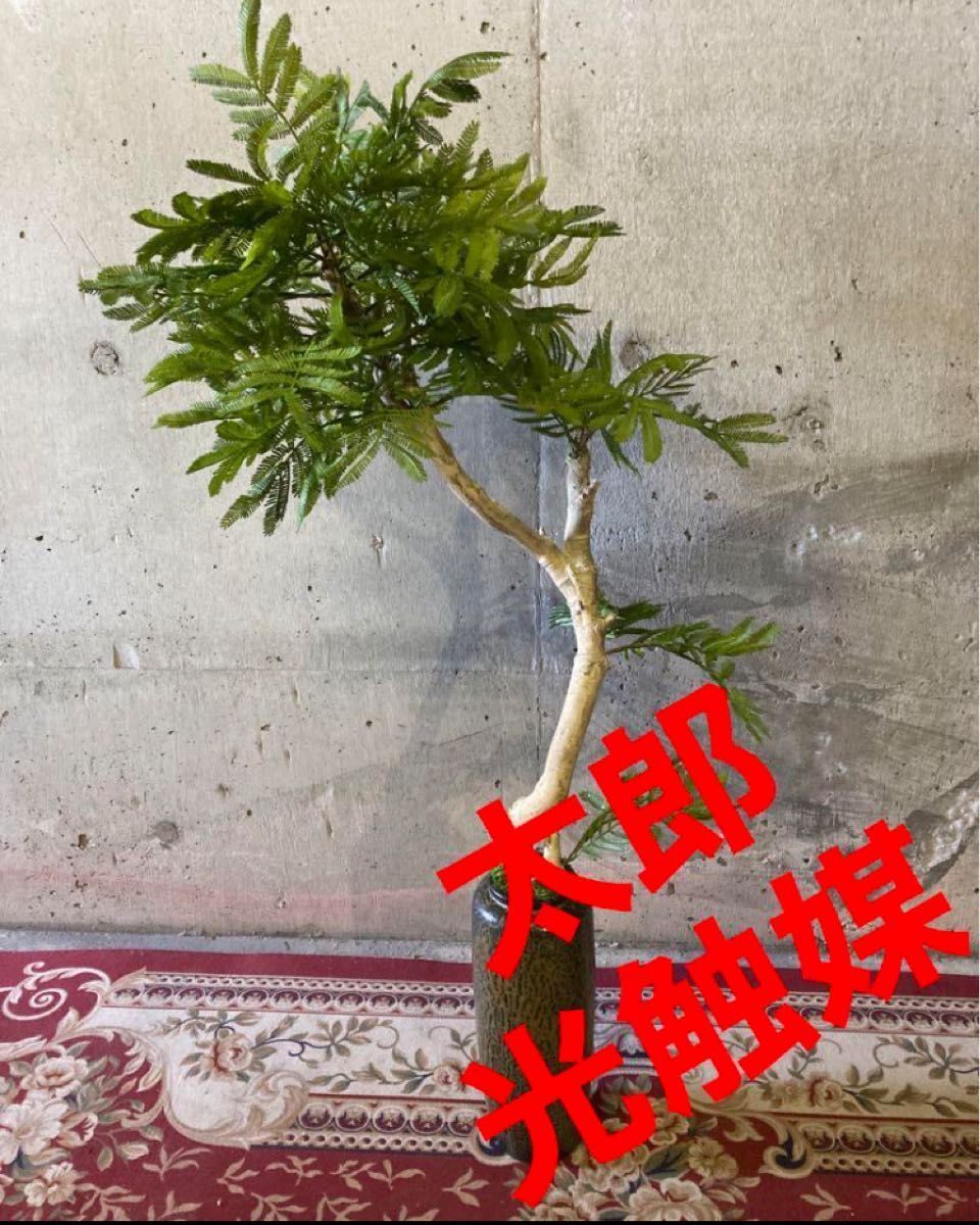 光触媒　人工観葉植物　ウォールグリーン　フェイクグリーン　エバーフレッシュ103