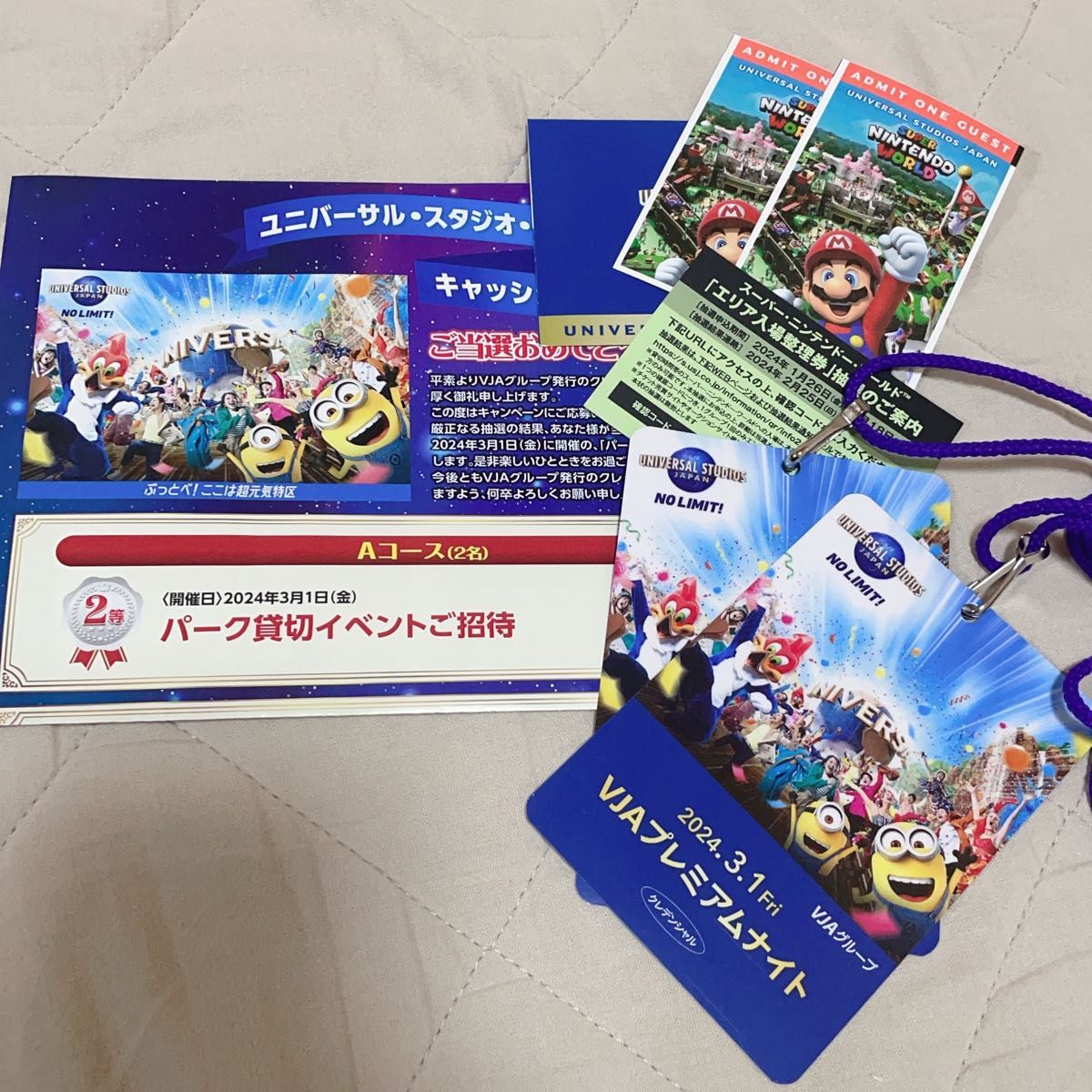 USJ ユニバーサルスタジオジャパン 貸切 3月1日 プレミアム USJ ユニバーサルスタジオジャパン 貸切 3月1日 プレミアム