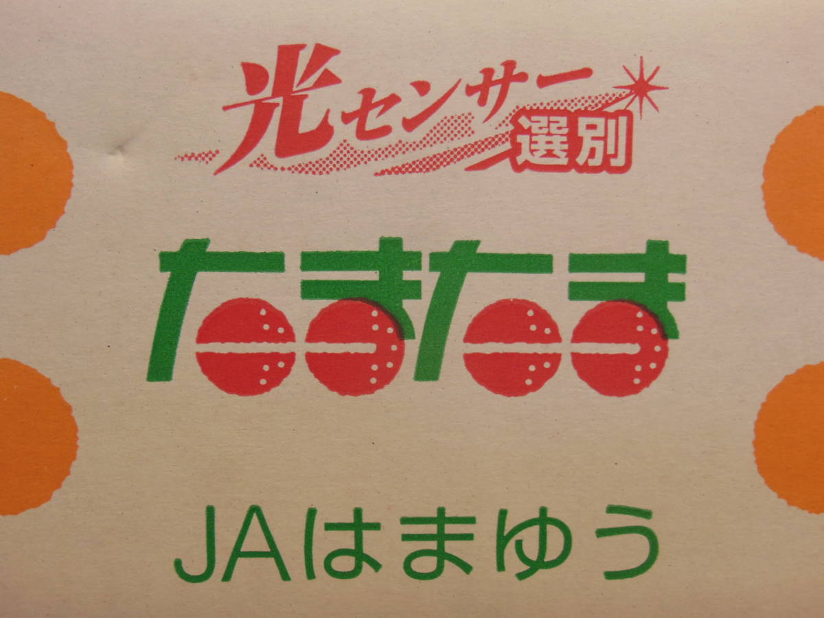 たまたま　　完熟金柑　宮崎県産　等階級　A　3L 　糖度16度以上　約3㎏入り_画像3
