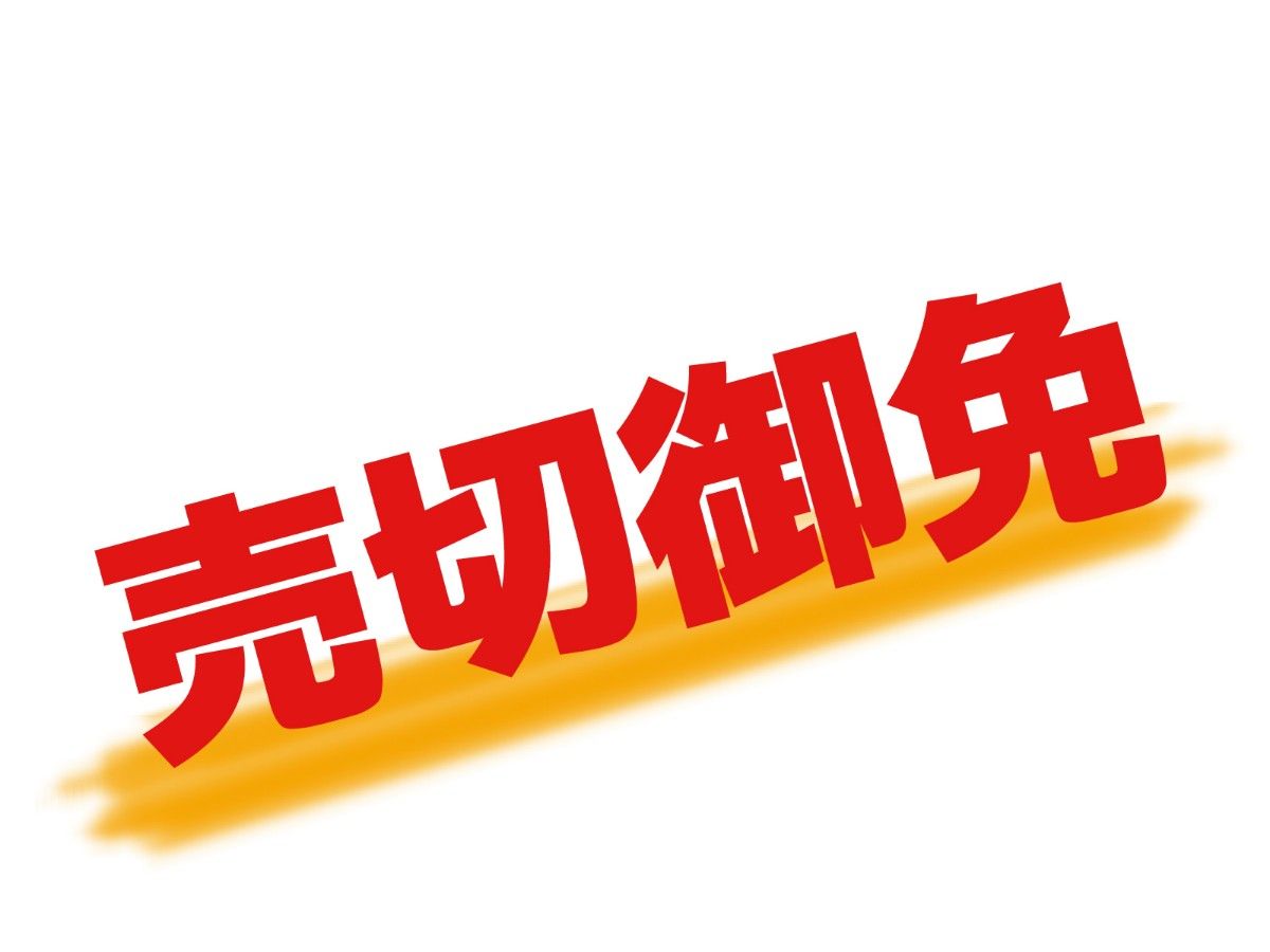 ★オン トゥシェ 北欧デザイン あったかなめらか 枕パッド2枚組 5610円相当★34 北欧デザイン