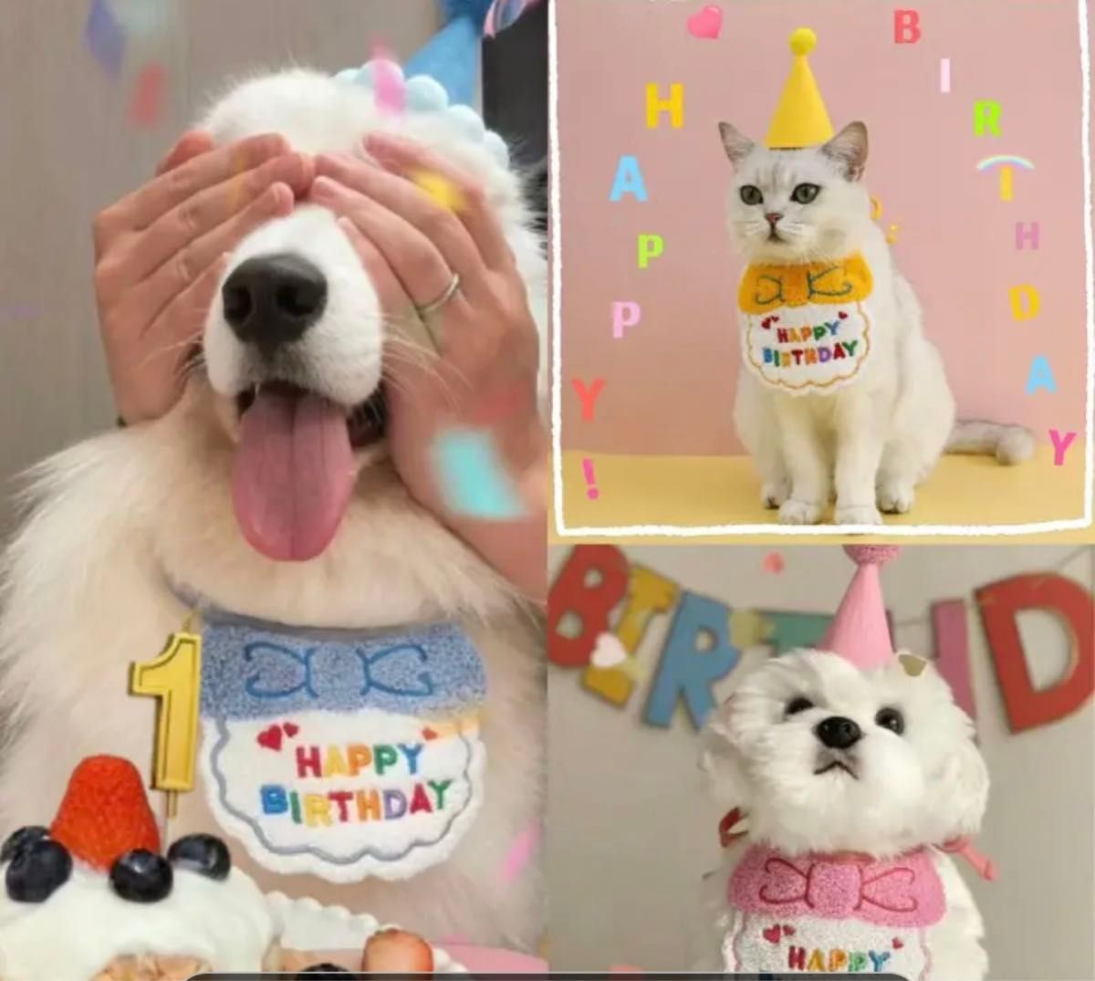 ペット誕生日 黄色ﾀｲﾌﾟ 犬 猫 バースデー装飾 帽子＆よだれかけ かわいい ペット用品 