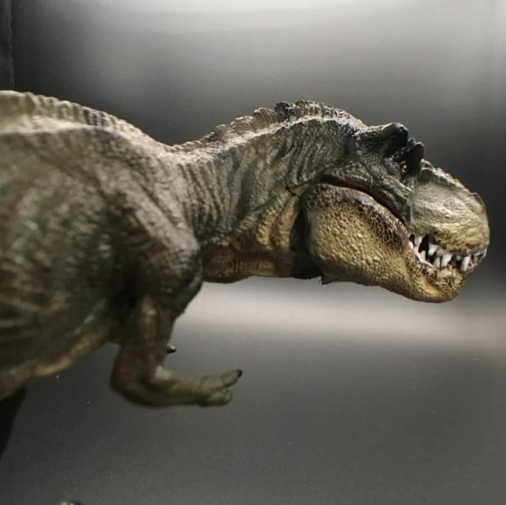 新品! 恐竜モデル 大型 固体 模擬 恐竜 おもちゃ ティラノサウルス レックスの画像5