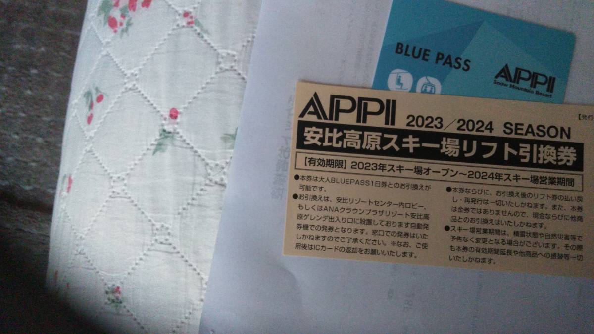 安比高原スキー場　　大人　１日券（ブルーパス）引換券　　２枚セット　　未使用_下　引換券　上　交換するブルーパス　。