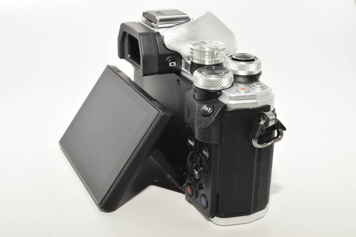 Bibian 比比昂- 【1004ショットの特上品】 OLYMPUS ミラーレス Bibian 比比昂- 【1004ショットの特上品】 OLYMPUS ミラーレス