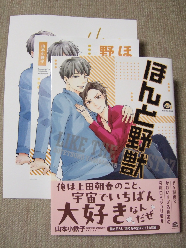 ◎山本小鉄子【ほんと野獣　１７】リーフレット＋ペーパー付_ペーパーは折ってあります。