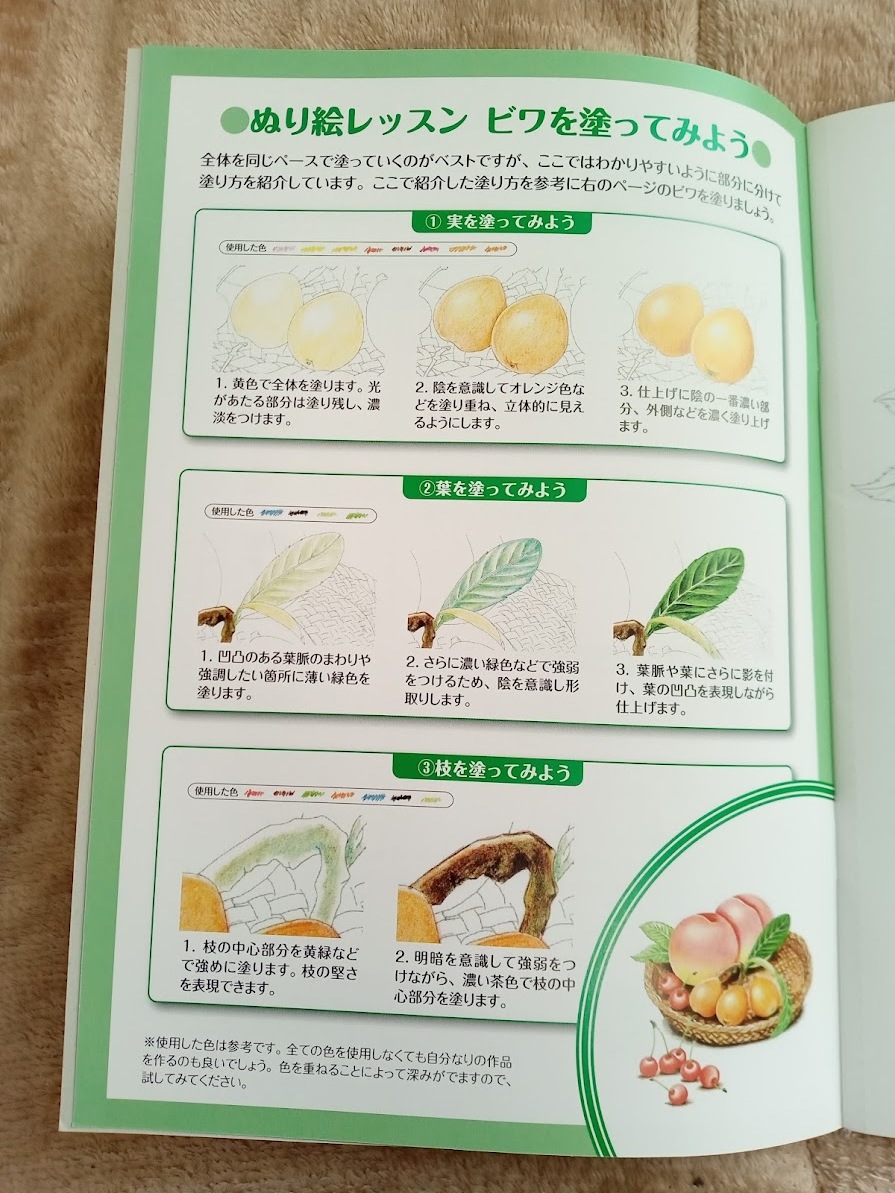  postage . cheap! adult paint picture [ adult coating . four season. fruit . flower ]... paint picture vegetable Sakura fruit flower beginner .... prevention .tore