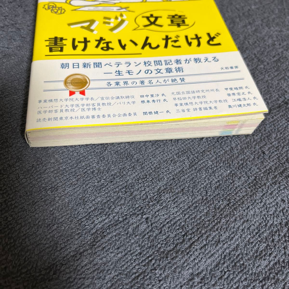 マジ文章書けないんだけど　朝日新聞ベテラン校閲記者が教える一生モノの文章術 前田安正／著