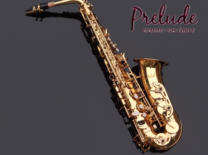 米 セルマー アルトサックス Prelude-by Selmer AS710 国内にて調整済 新品 送料無料 ゴールドラッカー セミハードケース他付属品おまけ付_画像4