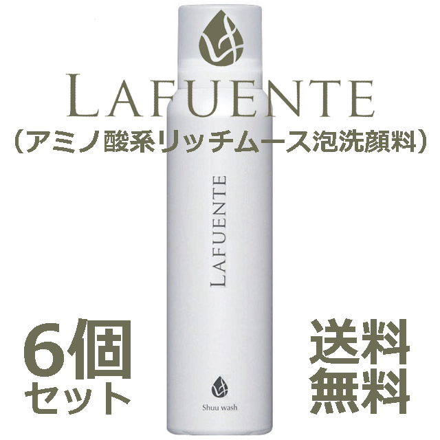 ★☆人気商品＆サロン専売品☆★シューウォッシュ 6個セット