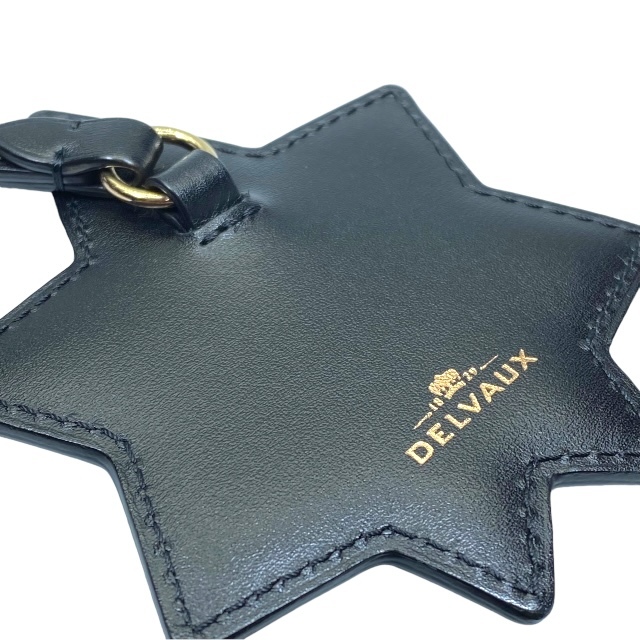 DELVAUX Dell bo- key holder bag charm Star leather metal black Gold silver 