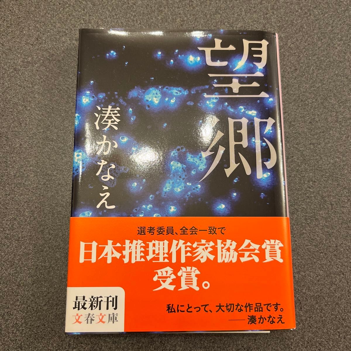 望郷 （文春文庫　み４４－２） 湊かなえ／著