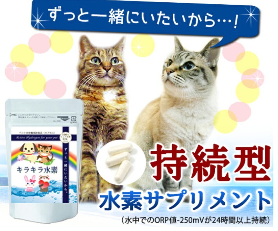 キラキラ水素 ペット用栄養補助食品 30カプセル入 100％ピュア水素 犬 猫 うさぎ フェレット サプリメント 新品未開封の画像3