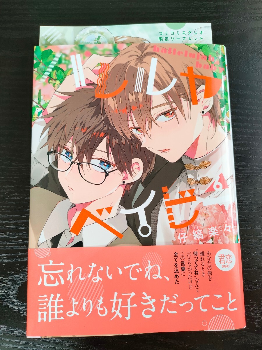 ■リーフレット付/2月新刊/仔縞楽々/ハレルヤベイビー6巻■の画像1