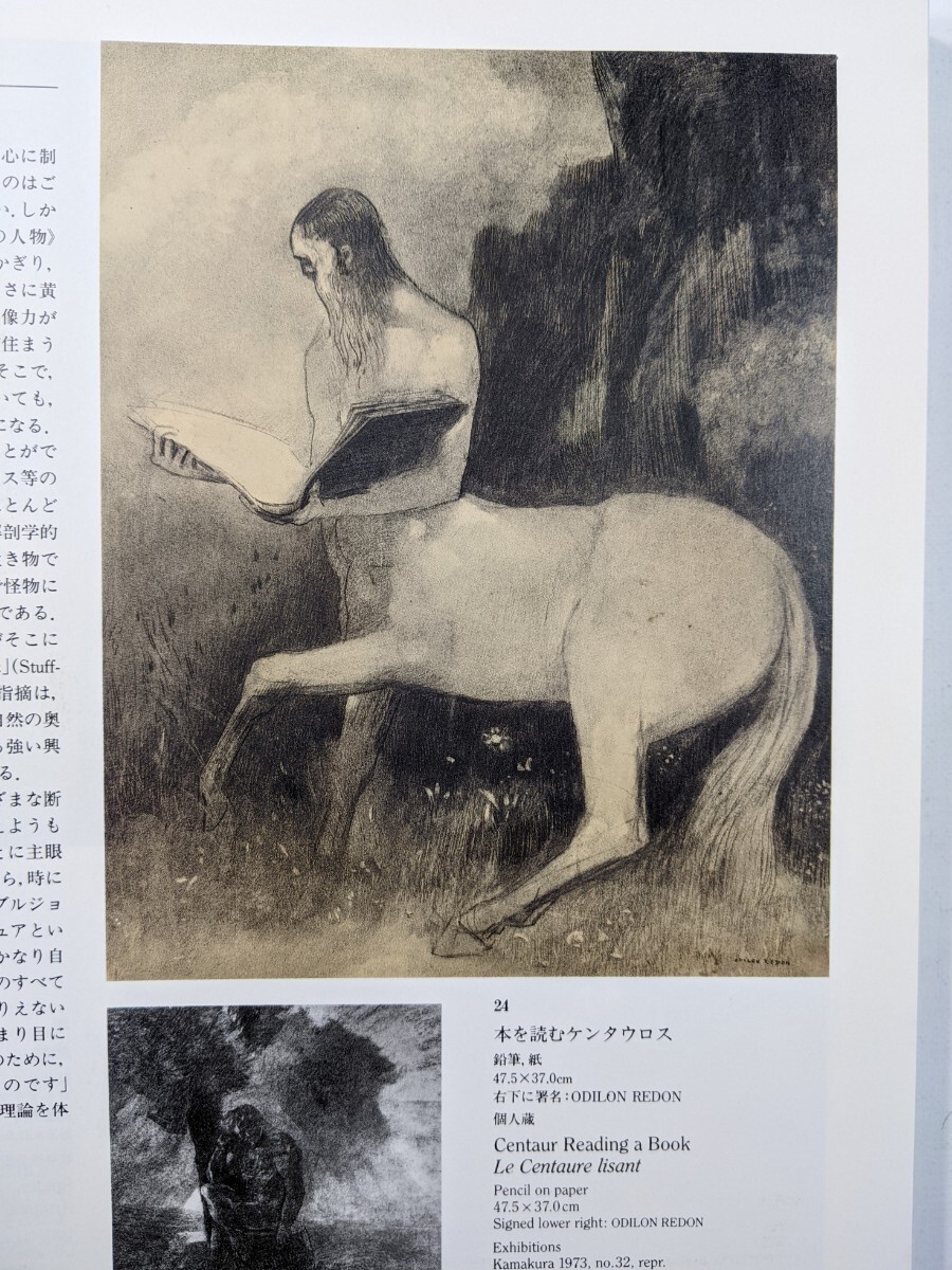 オディロン・ルドン展…光と闇…図録　東京国立近代美術館　1989年_画像4