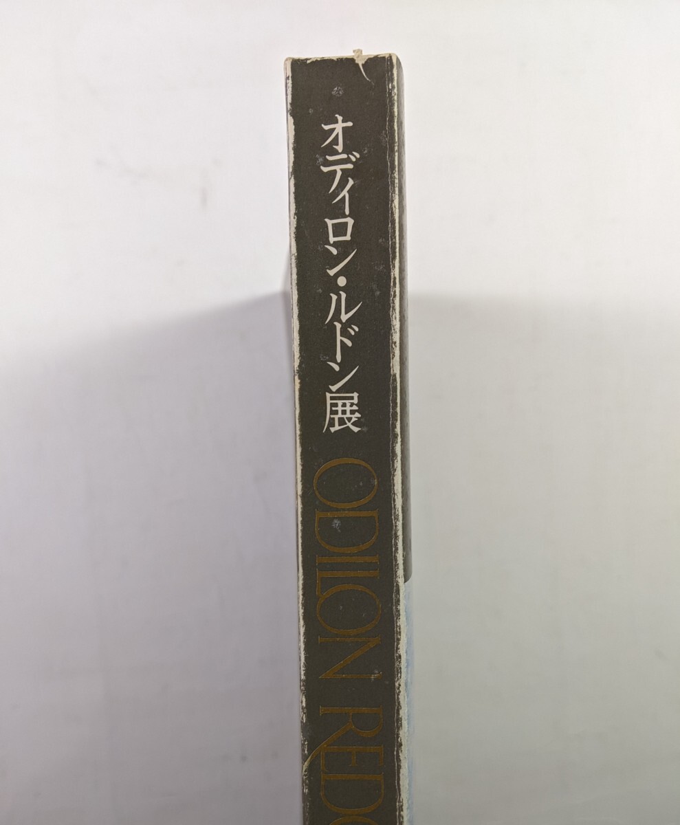 オディロン・ルドン展…光と闇…図録　東京国立近代美術館　1989年_画像2