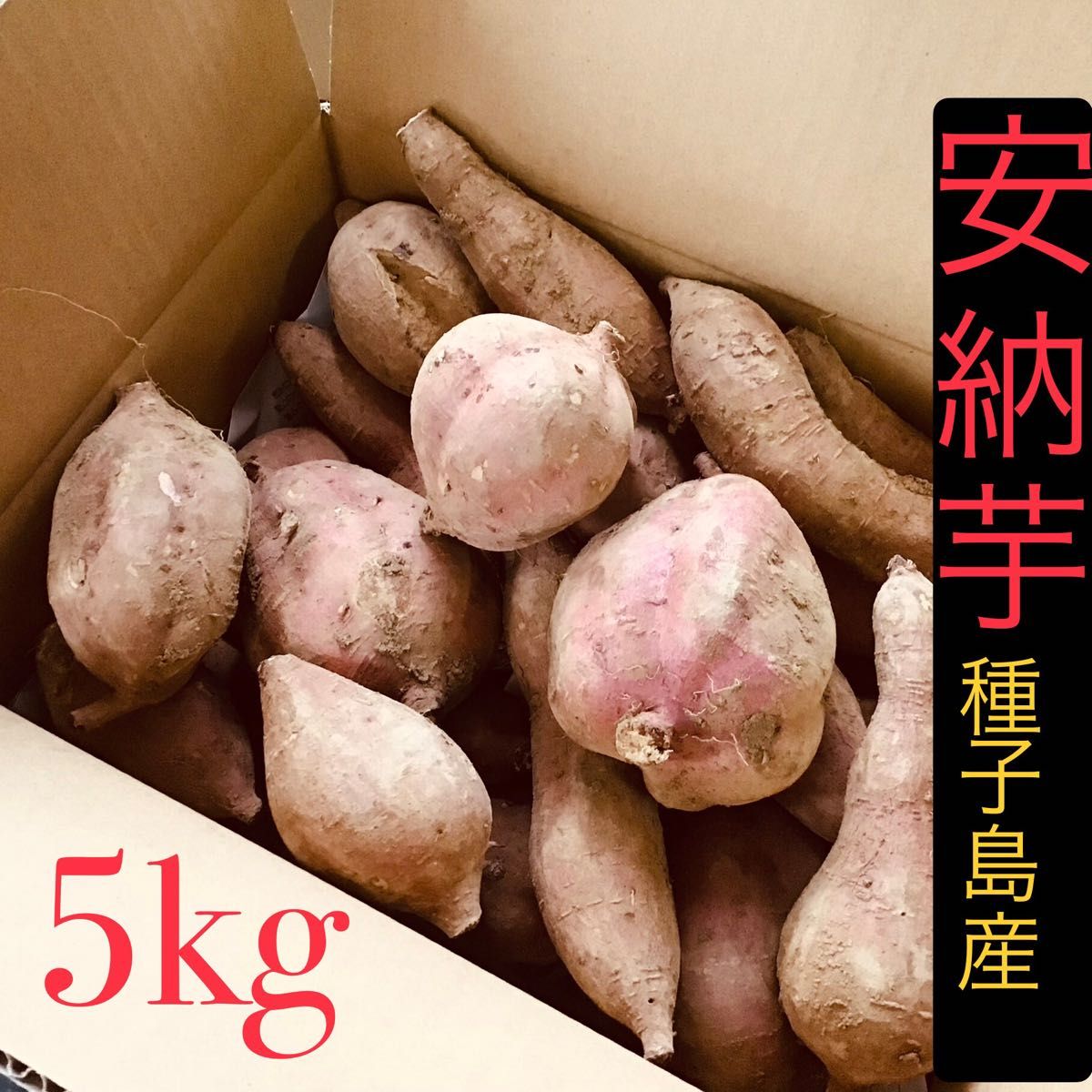 種子島産安納芋　B品5kg さつまいも　焼き芋に　紅はるかより希少