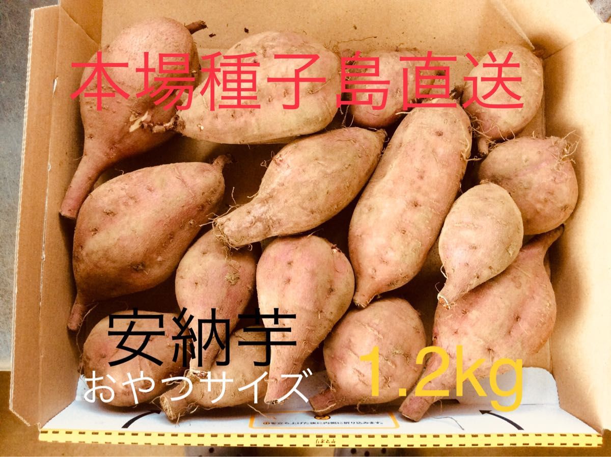 種子島産安納芋　おやつサイズ1.2kg さつまいも　焼き芋に　紅はるかより希少　★2