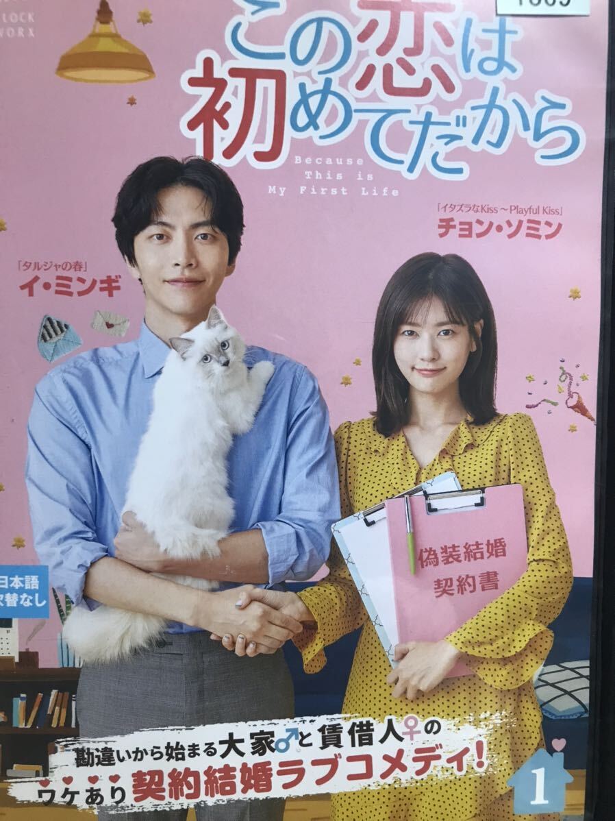 韓国ドラマ『この恋は初めてだから』DVD 全12巻セット 全巻セット　韓流