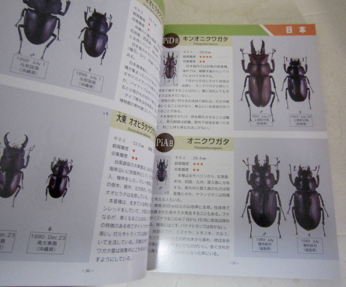 世界のクワガタG(ギネス) 図鑑 409種 stag beetle_画像5