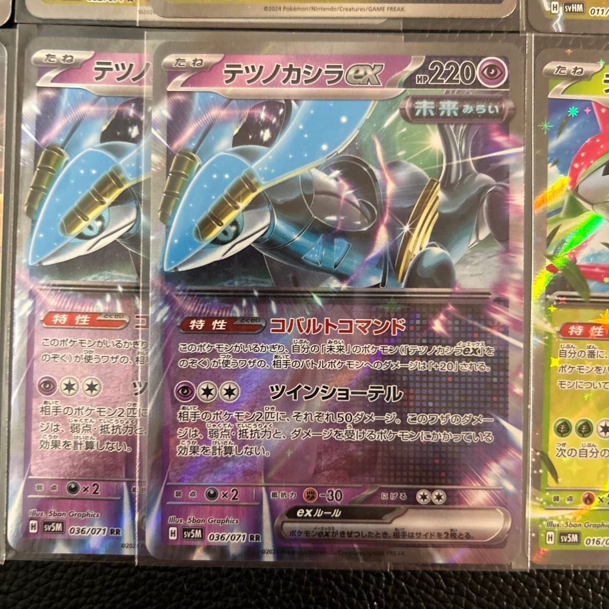テツノカシラ テツノイサハ テツノイワオ 未来のミライドン 未来 テツノカシラ テツノイサハ テツノイワオ 未来のミライドン 未来