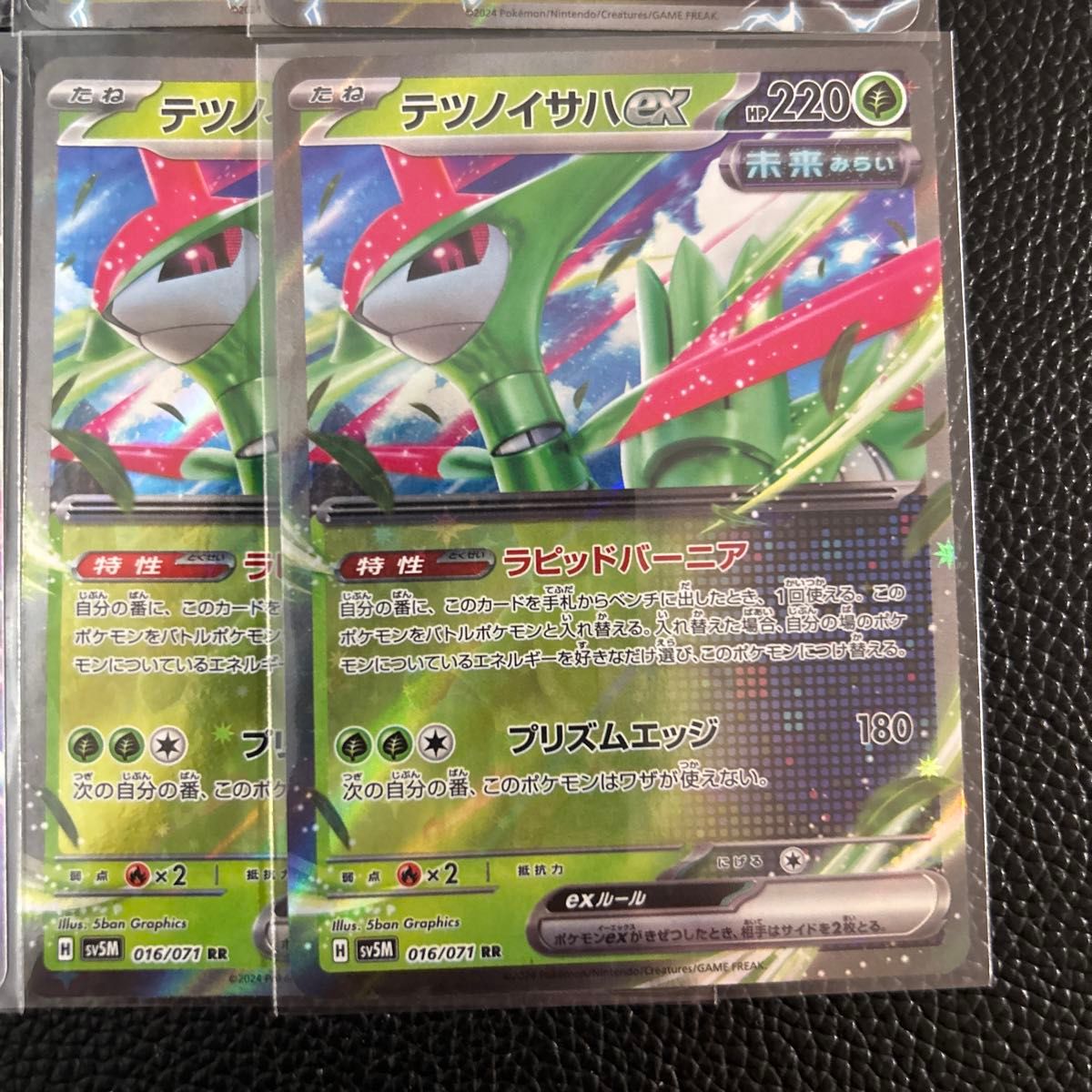 テツノカシラ テツノイサハ テツノイワオ 未来のミライドン 未来 テツノカシラ テツノイサハ テツノイワオ 未来のミライドン 未来
