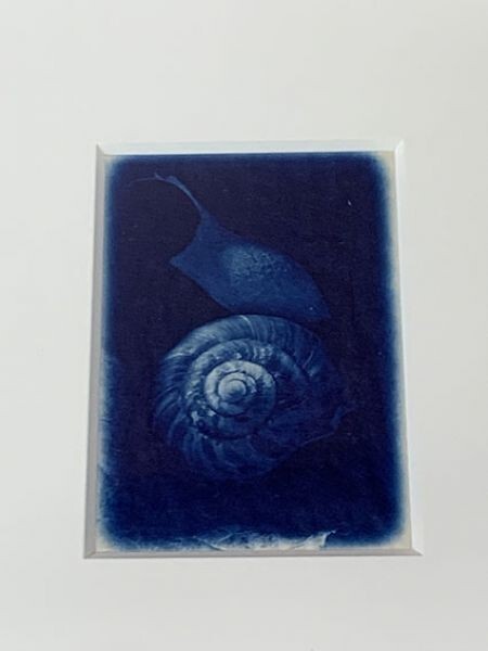 7480円 平竜二プリント額「Snail&Cocoon」 プラチナプリント 7480円 平竜二プリント額「Snail&Cocoon」 プラチナプリント