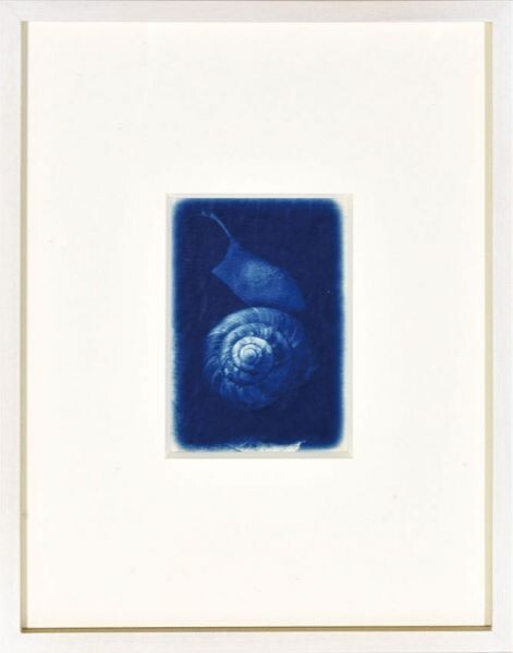 11900円 ☆【杉本博司写真集 Hiroshi Sugimoto「Seascapes 11900円 ☆【杉本博司写真集 Hiroshi Sugimoto「Seascapes