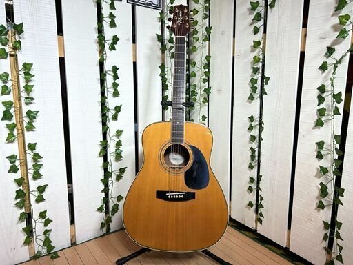 ◆ タカミネ Takamine G334 アコースティックギター 海外モデル ◆_画像1