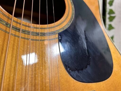 ◆ タカミネ Takamine G334 アコースティックギター 海外モデル ◆_画像8