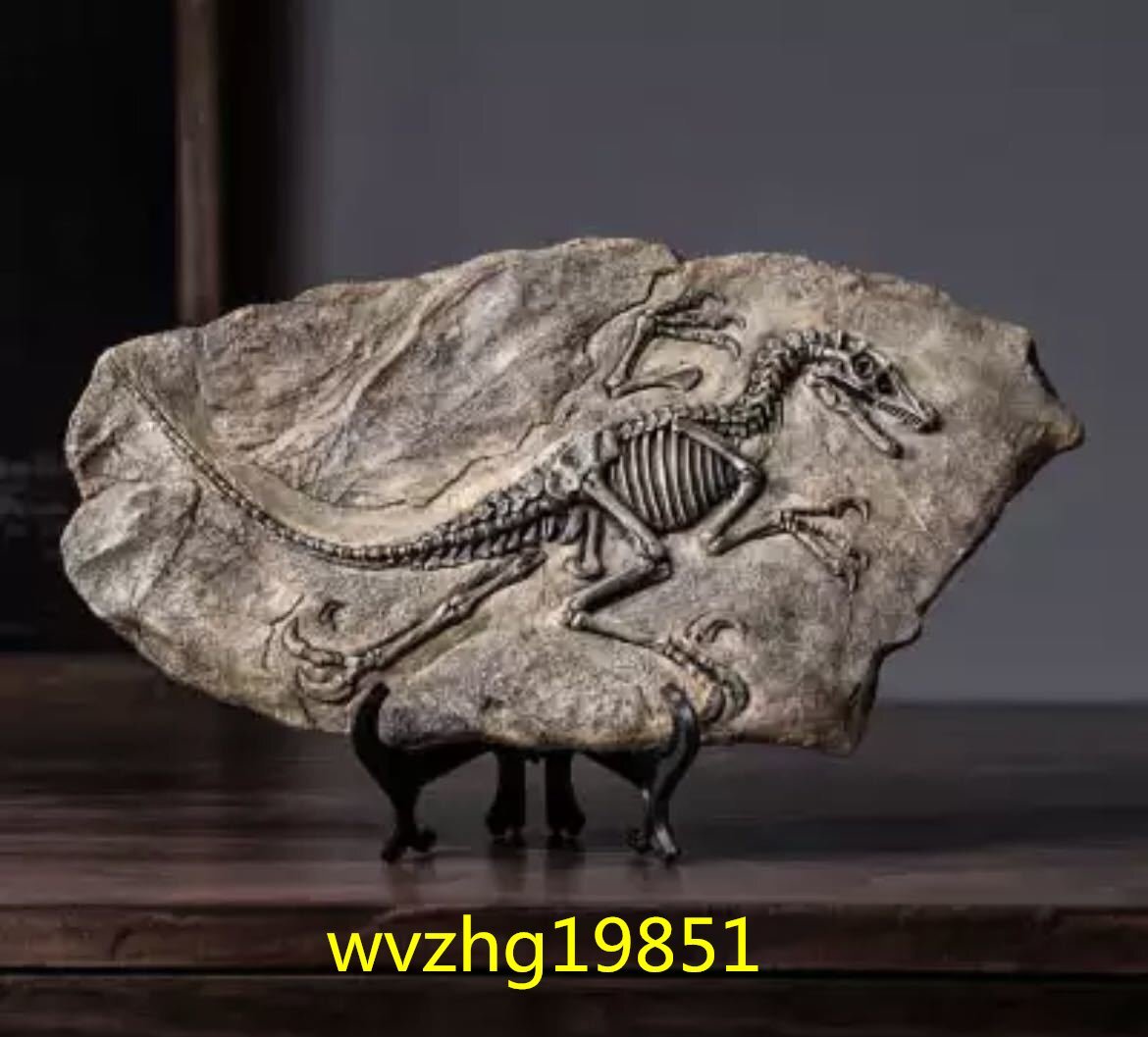 LHH773★種類多数 3D 恐竜 化石 彫刻 インテリア 装飾 レトロ 骨 おしゃれ アンティーク 置物_画像2