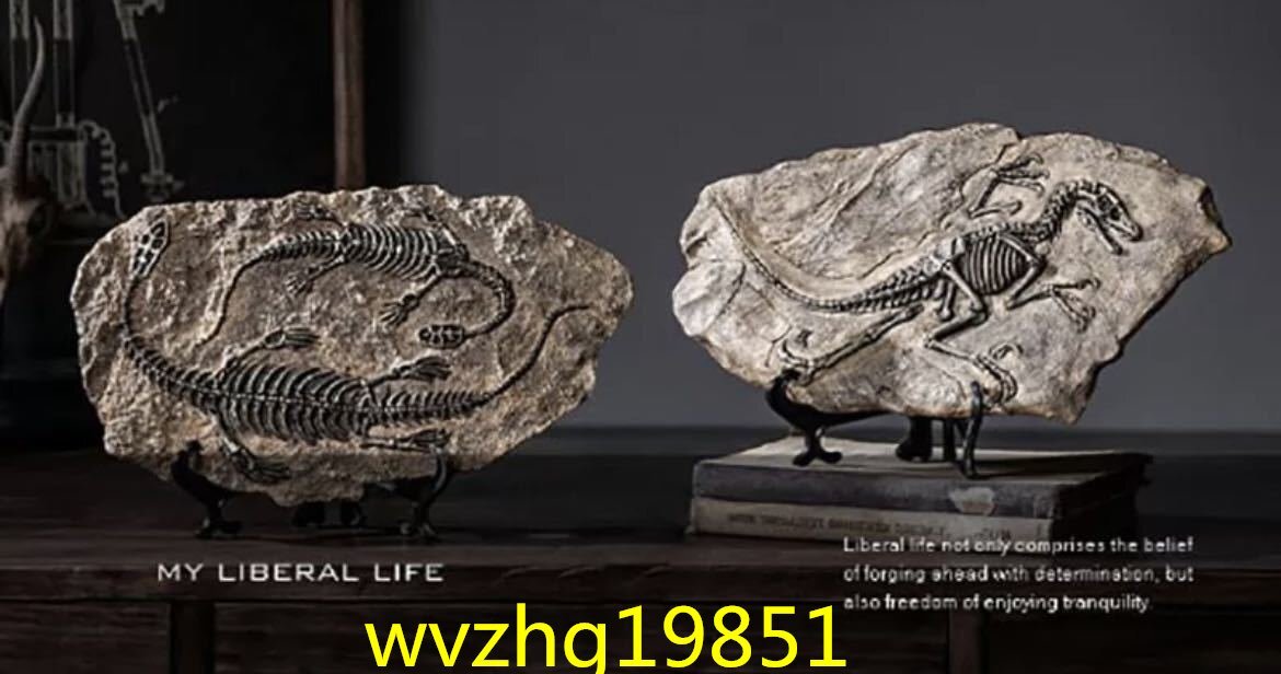 LHH773★種類多数 3D 恐竜 化石 彫刻 インテリア 装飾 レトロ 骨 おしゃれ アンティーク 置物_画像6