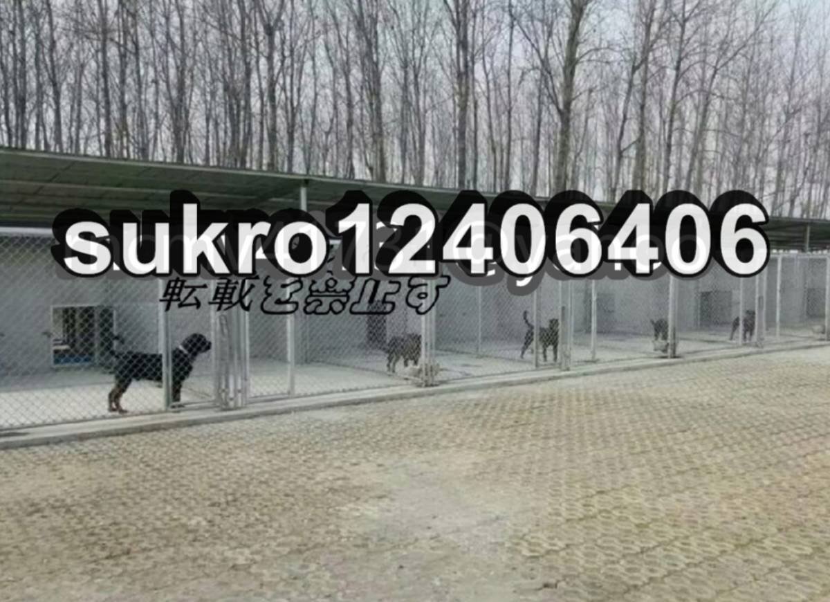 犬のかご ペットフェンス針金犬籠大型犬室外ポンポン穴開けずDIYペットケージ 2*2*1.67m
