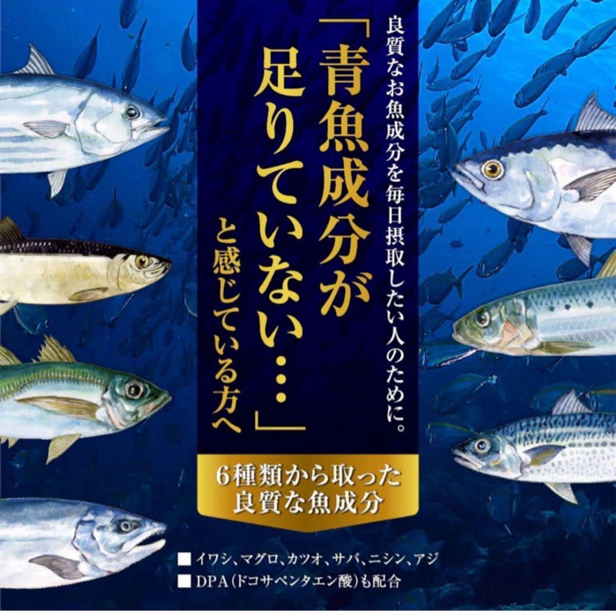 オメガ3 DHA&EPA＋DPA 6種の青魚　サーモンオイル　濃縮