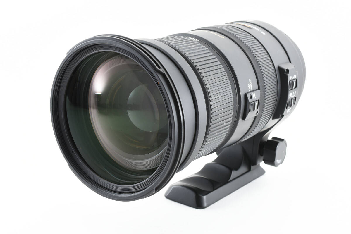 シグマ SIGMA APO 50-500mm F4.5-6.3 DG OS HSM PENTAX ペンタックス用_画像2