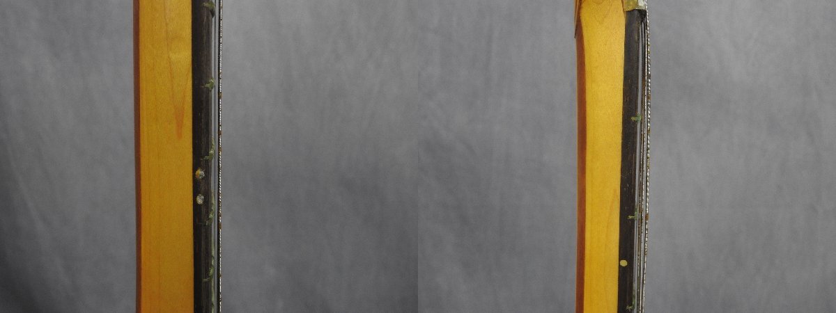☆ FERNANDES/フェルナンデス Alembic アレンビックタイプ エレキギター ケース付き ☆ジャンク☆_画像7