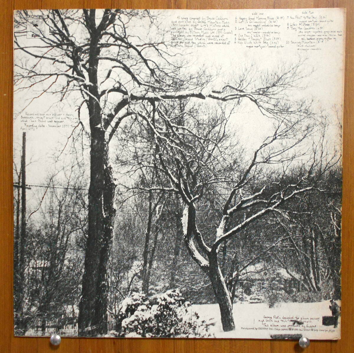 ☆彡ブルース・コバーン / 雪の世界　Bruce Cockburn High Winds White Sky ('71)★国内盤アナログLP ECPN-62 SSW FOLK_画像2