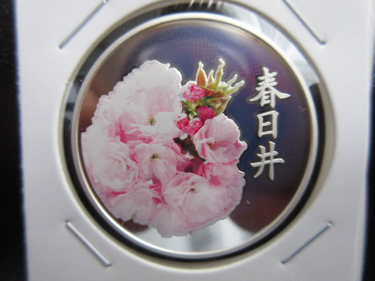 ☆桜の通り抜け2020年プルーフ貨幣セット出し・銀メダル(春日井）☆_ホルダー面チリ付着